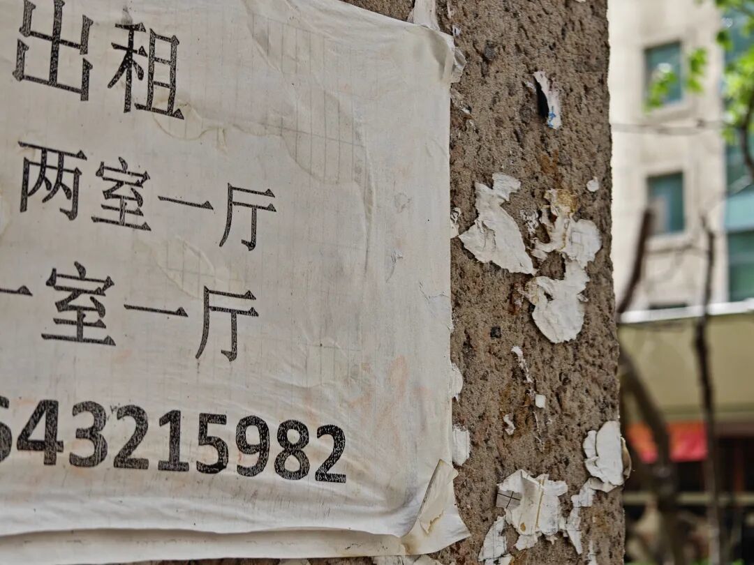 租房市场对养宠物的人来说，似乎也不友好。