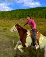 8_compressed.webp